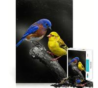 Puzzle de 1000 pièces pour Adultes,représentant Un Oiseau Bleu et Un Oiseau Jaune sur Une Branche Pièces aux découpes nettes,activité stimulante pour Le Cerveau,Moment de détente et de Divertissement