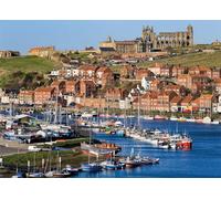 Puzzle de 1000 pièces pour Adultes : Ruines de l'abbaye de Whitby (50 x 70 cm) - Idée Cadeau