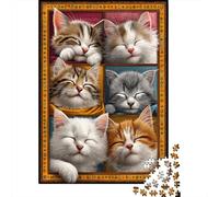 Puzzle De 1000 Pièces pour Adultes Sleepy Cats Compilation Puzzles pour Adultes - Décoration Murale - Décoration Intérieure - Cadeaux Uniques d'anniversaire Et De Noël 70x50cm/1000pcs