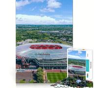 Puzzle de 1000 pièces pour adultes, stade Bayer Leverkusen, articulations précises, plaisir de jeu, cadeau de jeu intelligent, temps de paix, décoration d'anniversaire (38 x 52 cm)