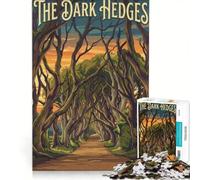 Puzzle de 1000 pièces pour Adultes The Dark Hedges Jeu de Construction Interaction Parent-Enfant Collection d'artistes Beaux-Arts 50x75cm