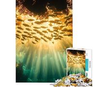 Puzzle de 1000 pièces pour Adultes Thème sous-Marin lumière du Soleil et Banc de Poissons Stimule Le Cerveau pour Femmes Jouet éducatif à partir de 14 Ans Dimensions : 38x52cm