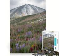 Puzzle de 1000 pièces Prairie de Montagne avec Fleurs Sauvages pour Adolescents, 1000 pièces, Jeu de logique Solide, Plaisir partagé, Bords Nets, Joli Cadeau (38x26cm)
