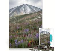 Puzzle de 1000 pièces Prairie de Montagne avec Fleurs Sauvages pour Adultes, Jeu de réflexion et de détente, Design à Assembler, Joli Cadeau (50x75cm)