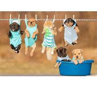 Puzzle de 1000 pièces, Puzzle des Cinq Avions, Grand Puzzle Difficile, Puzzle éducatif pour Adultes, Puzzle créatif, Cadeau divertissant, Coffret de Puzzles stimulants 38 x 52 cm