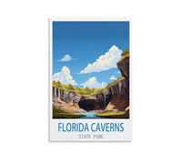 Puzzle de 1000 pièces, Puzzle du Parc d'État des grottes de Floride, Puzzle de 1000 pièces pour Adultes et Enfants, Puzzle Familial Classique d'intérieur 38 x 26 cm