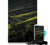 Puzzle de 1000 pièces représentant des rizières en terrasses au Vietnam, idéal pour Les Adolescents Stimule la mémoire, se détend et s'amuse Bords Lisses Liste de souhaits du Père Noël (38x26cm)