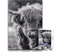 Puzzle de 1000 pièces représentant des Vaches des Highlands écossaises Adultes Jeu de réflexion stratégique et d'apprentissage et Symbolique pour Toutes Les Occasions Dimensions:50x75cm