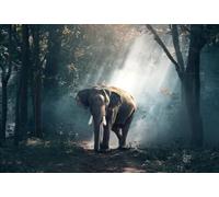 Puzzle de 1000 pièces représentant Jésus au Ciel, pour Adultes, Enfants et Jeunes Adultes. Grand Format : 26 x 38 cm.