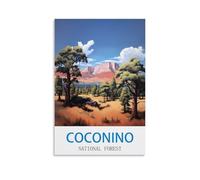 Puzzle de 1000 pièces représentant la forêt Nationale de Coconino. Puzzle en Papier, idéal pour Les Adultes, Les Enfants et Les familles. Jeu Anti-Stress. 38 x 52 cm.