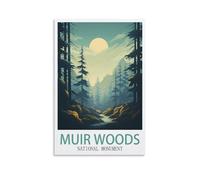 Puzzle de 1000 pièces représentant Le Monument National de Muir Woods. Puzzle en Papier de 1000 pièces, idéal pour Les Adultes et Les Enfants. Jeu éducatif et détendu en Famille. 38 x 52 cm.