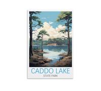 Puzzle de 1000 pièces représentant Le Parc d'État de Caddo Lake, Texas : Un Jeu Stimulant et Impossible, idéal pour décorer Une Famille (50 x 70 cm).