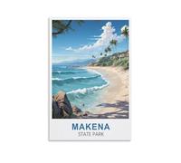 Puzzle de 1000 pièces représentant Le Parc d'État de Makena. Puzzle en Papier, Illustration, Jouet éducatif et intellectuel, 38 x 26 cm.