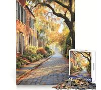 Puzzle de 1000 pièces représentant Le Quartier Historique de Savannah, en Géorgie Idéal pour Adultes Renforce la mémoire, se divertit et s'amuse Qualité supérieure, Cadeau élégant (38x52cm)