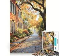 Puzzle de 1000 pièces représentant Le Quartier Historique de Savannah, en Géorgie Idéal pour Adultes Renforce la mémoire, se divertit et s'amuse Qualité supérieure, Cadeau élégant (38x52cm)