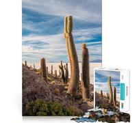 Puzzle de 1000 pièces représentant Les salines de Bolivie, idéal pour Adultes Renforce la mémoire, Divertissement Occasionnel, qualité supérieure, Cadeau élégant (38x26cm)