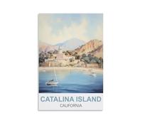Puzzle de 1000 pièces représentant l'île de Catalina en Californie : Un Jeu Stimulant et Impossible à résoudre, idéal pour décorer Une Maison ou Une Famille (50 x 70 cm).