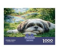 Puzzle de 1000 pièces représentant Un Adorable Chien de Type Chow-Chow allongé dans l'herbe. Un Jeu Familial Amusant et Stimulant pour Adultes et Enfants. Dimensions : 70 x 50 cm.