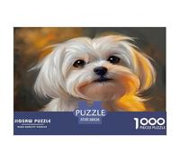 Puzzle de 1000 pièces représentant Un Adorable Chien Maltais au Regard Alerte et aux Tons Chauds. Idéal pour Hommes et Femmes. Cadeau Parfait pour la décoration Murale. 38 x 26 cm / 1000 pièces