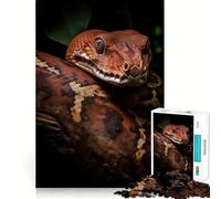 Puzzle de 1000 pièces représentant Un boa Constrictor,découpe précise,Jeu Stimulant l'esprit,Facile à Jouer,Cadeau d'anniversaire idéal (50x75cm)
