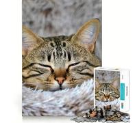 Puzzle de 1000 pièces représentant Un Chat tigré endormi, idéal pour Les Adolescents Jeu de réflexion, Anti-Stress, découpe soignée, Cadeau Artistique 50x75cm