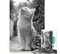 Puzzle de 1000 pièces représentant Un Chaton Noir et Blanc,avec Un Chat Blanc Jeu de réflexion Stimulant,sans pièces détachées,pour Un défi cérébral interactif à la Maison (50x75cm)