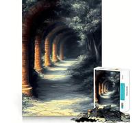 Puzzle de 1000 pièces représentant Un Chemin en Pierre dans Un Paysage Japonais, idéal pour Les Adolescents Jeu Stimulant la logique et apaisant Pièce de Collection de qualité supérieure 38x26cm