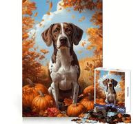 Puzzle de 1000 pièces représentant un chien d'arrêt avec des citrouilles dans un décor automnal Idéal pour adultes, il renforce la mémoire, se détend et offre un cadeau élégant et de qualité (38x52cm)