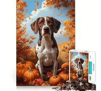 Puzzle de 1000 pièces représentant Un Chien d'arrêt et des citrouilles dans Un décor automnal idéal pour Les Adolescents Jeu de réflexion et de détente Cadeau Artistique de qualité supérieure