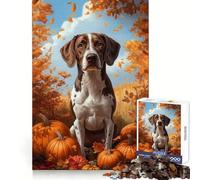 Puzzle de 1000 pièces représentant Un Chien d'arrêt et des citrouilles dans Un décor automnal idéal pour Les Adolescents Jeu de réflexion et de détente Cadeau Artistique de qualité supérieure