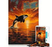 Puzzle de 1000 pièces représentant Un Coucher de Soleil sur l'océan avec des orques, idéal pour Les Adultes Un Puzzle Relaxant à Assembler Lentement, Un Cadeau Parfait (38x52cm)