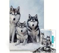 Puzzle de 1000 pièces représentant Un Husky sibérien, idéal pour Les Adolescents 38x26cm