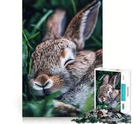 Puzzle de 1000 pièces représentant Un Lapin endormi dans l'herbe, idéal pour Les Adolescents Détente et Relaxation garanties 38x26cm
