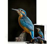Puzzle de 1000 pièces représentant Un Martin-pêcheur Vibrant sur Une Branche Exercice cérébral, détente et Relaxation Découpe de précision Cadeau Symbolique (38x52cm)