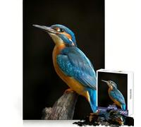 Puzzle de 1000 pièces représentant Un Martin-pêcheur Vibrant sur Une Branche, idéal pour Les Adolescents : Bien-être cérébral, Relaxation Facile, Assemblage Parfait, (38x26cm)