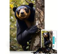 Puzzle de 1000 pièces représentant Un Ours malais grimpant à Un Arbre, idéal pour Les Adolescents, Stimulant la réflexion à la Maison, Cadeau Festif avec Bords précis 38x52cm