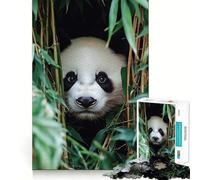 Puzzle de 1000 pièces représentant Un Panda Observant Une forêt de bambous, idéal pour Les Adolescents Think Toy, Un Jouet apaisant et Amusant, aux Contours Nets et précis, à Collectionner (50x75cm)