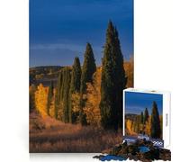 Puzzle de 1000 pièces représentant Un Paysage d'automne avec des cyprès, idéal pour Les Adolescents Un Cadeau Festif aux Contours Nets et à l'ambiance d'entraînement Bien employée (38x52cm)