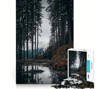 Puzzle de 1000 pièces représentant Un Paysage de Montagne pour Adultes, Jeu de réflexion Anti-anxiété, Bords précis, Cadeau attentionné (50x75cm)