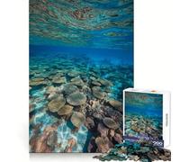 Puzzle de 1000 pièces représentant Un Paysage sous-Marin de récif corallien, idéal pour Les Adolescents : Bien-être, détente et Loisirs Un Cadeau touchant aux Bords Nets (38x52cm)