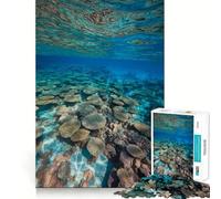 Puzzle de 1000 pièces représentant Un Paysage sous-Marin de récif corallien Jeu cognitif et Amusant,découpe de Haute précision,Cadeau Unique pour soulager Le Stress (38x52cm)
