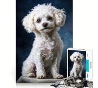 Puzzle de 1000 pièces représentant Un Portrait de Caniche Blanc,Jeu de Concentration mentale sans Espace,Design ajusté,défi cérébral interactif pour la Maison (38x52cm)