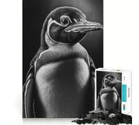 Puzzle de 1000 pièces représentant Un Portrait de Pingouin, idéal pour Les Adolescents, pour renforcer Leur mémoire, se détendre à la Maison, Bords Nets, Un Cadeau précieux (38x26cm)