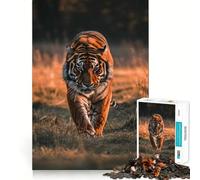 Puzzle de 1000 pièces représentant Un Tigre Sauvage au Coucher du Soleil, Un Adolescent Jeu de logique Solide, Divertissement et Objets de Collection aux Bords Nets 50x75cm
