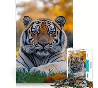Puzzle de 1000 pièces représentant Un Tigre se reposant dans Un Champ herbeux idéal pour Les Adolescents Jeu de logique et de réflexion à Partager en Toute simplicité Découpe précise et élégante