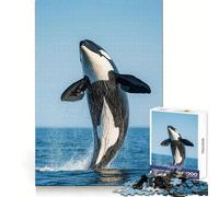 Puzzle de 1000 pièces représentant Une Orque sautant Hors de l'eau, idéal pour Les Adultes Jeu cognitif, Moment de complicité et d'assemblage, Cadeau de Noël (38x52cm)