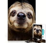 Puzzle de 1000 pièces représentant Une tête de Paresseux en Gros Plan, idéal pour Les Adolescents Jouet Intelligent, découpe précise, Cadeau de Saison 50x75cm