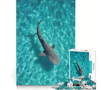 Puzzle de 1000 pièces Requin-Baleine dans Une Eau Turquoise Jeu Manuel pour entraîner Votre Cerveau et Vos Mains grâce à des pièces de Formes aléatoires Qui s'emboîtent Parfaitement 38x52cm