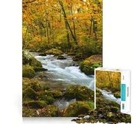 Puzzle de 1000 pièces Rivière Oirase dans Une forêt d'automne pour Adolescents Jeu de réflexion Découpe Nette (38x26cm)