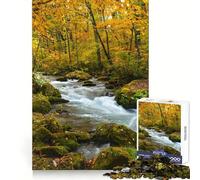 Puzzle de 1000 pièces Rivière Oirase dans Une forêt d'automne pour Adolescents Jeu de réflexion Découpe Nette (38x26cm)
